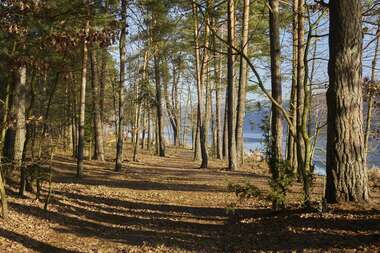 191211  (141) SONY .jpg